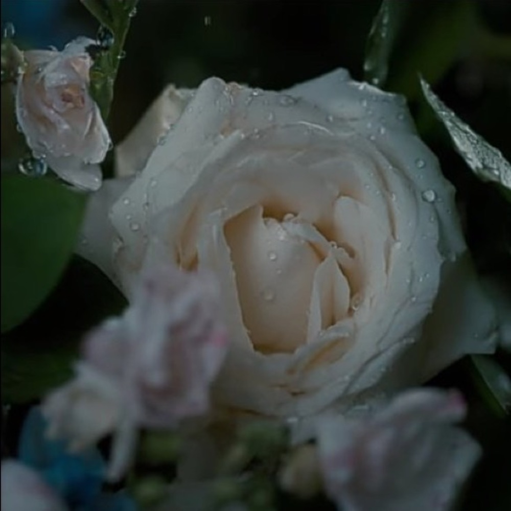 Meet your Posher, Kimia